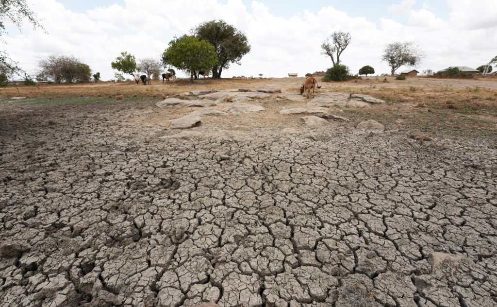 NDMA Sounds Alarm as Failed Short Rains Deepen Kenya’s Drought Crisis