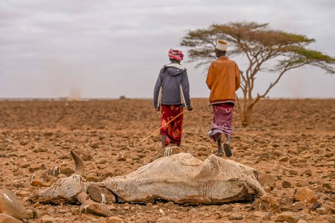 Drought leaves over two million vulnerable to health and nutrition crises in Kenya