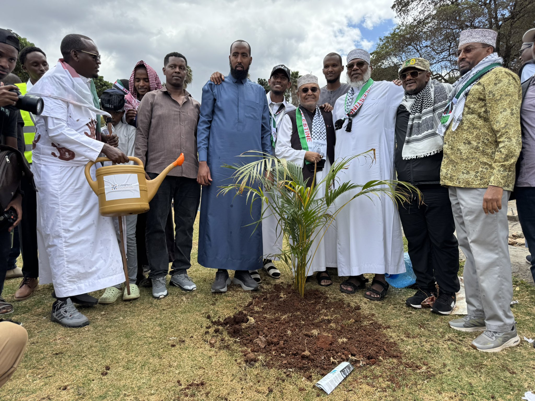 Tree Planting Event in Solidarity with the People of Gaza Set for Tomorrow