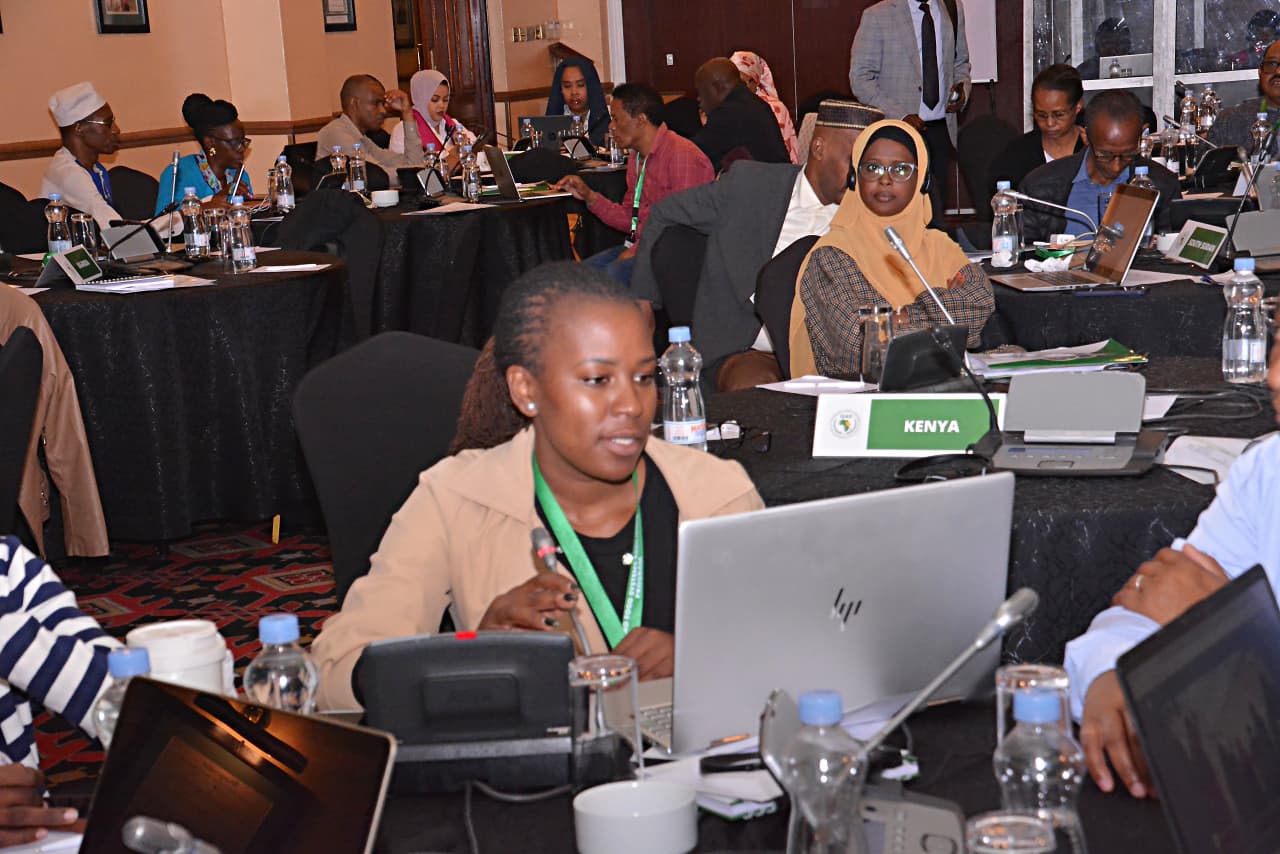 IGAD Agrifood Investment Plan Enters Final Phase Ahead of Member States’ Validation
